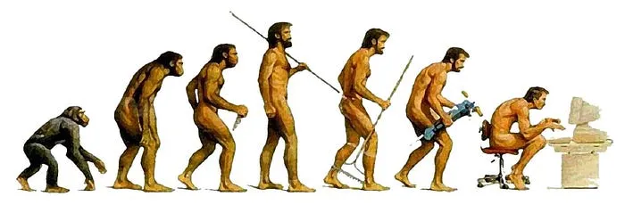 Human Evolution